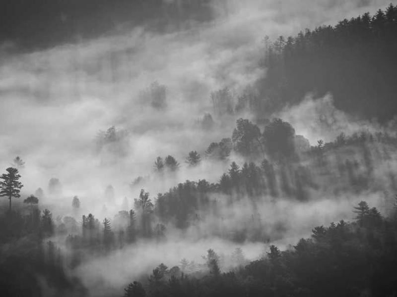 เว็บไซต์ ABC Corporation