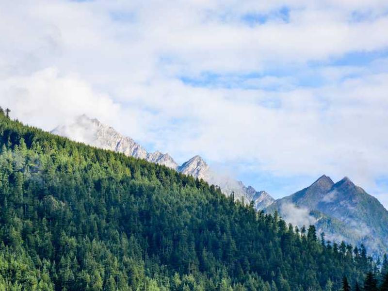 แคมเปญ Google Ads