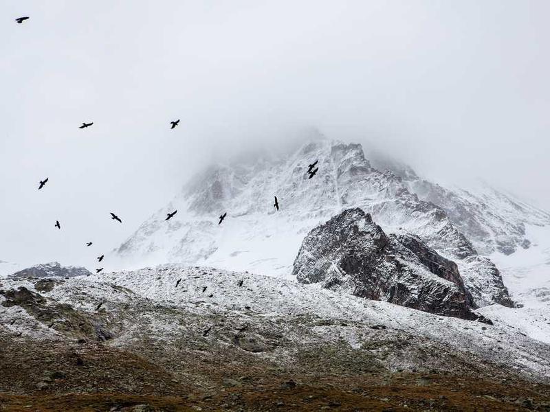 ออกแบบเว็บไซต์